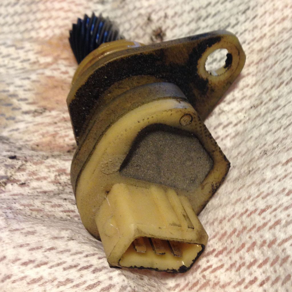 [Imagem: IMG_4467_zpspg7ml1vz.jpg]