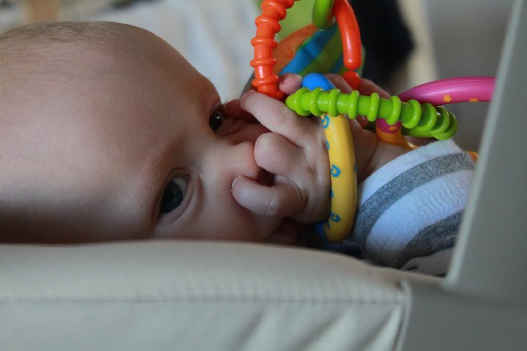 IMG_4894_zps1caa5c17.jpg
