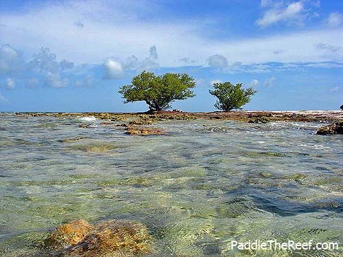 Kayaking florida keys bahia honda #2