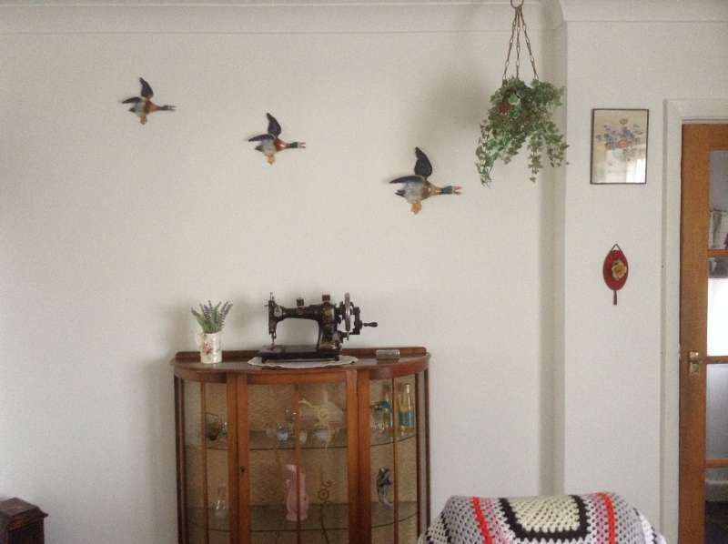 Flying%20ducks_zpsgxt36zsx.jpg