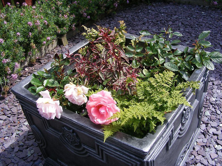 Front%20large%20centre%20planter3_zpswpirsy5e.jpg